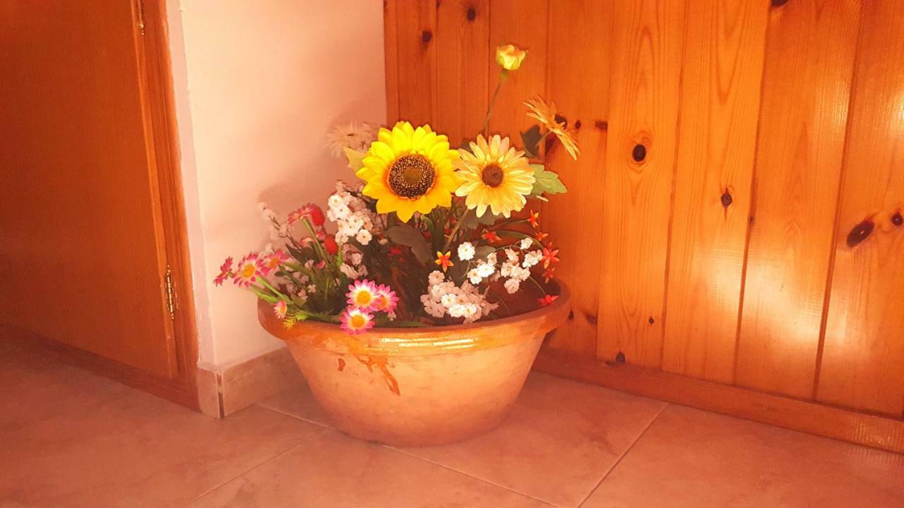Casa Joan Διαμέρισμα Barruera Εξωτερικό φωτογραφία